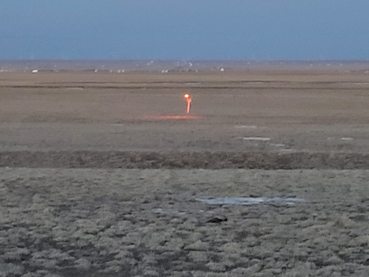 Customer photo review of Solar Red Light for Hunting Hogs Deers