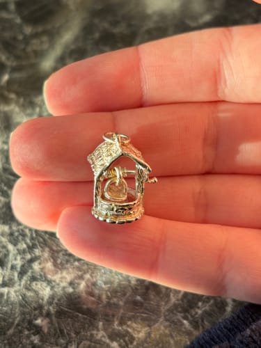 Customer photo review of silver charm