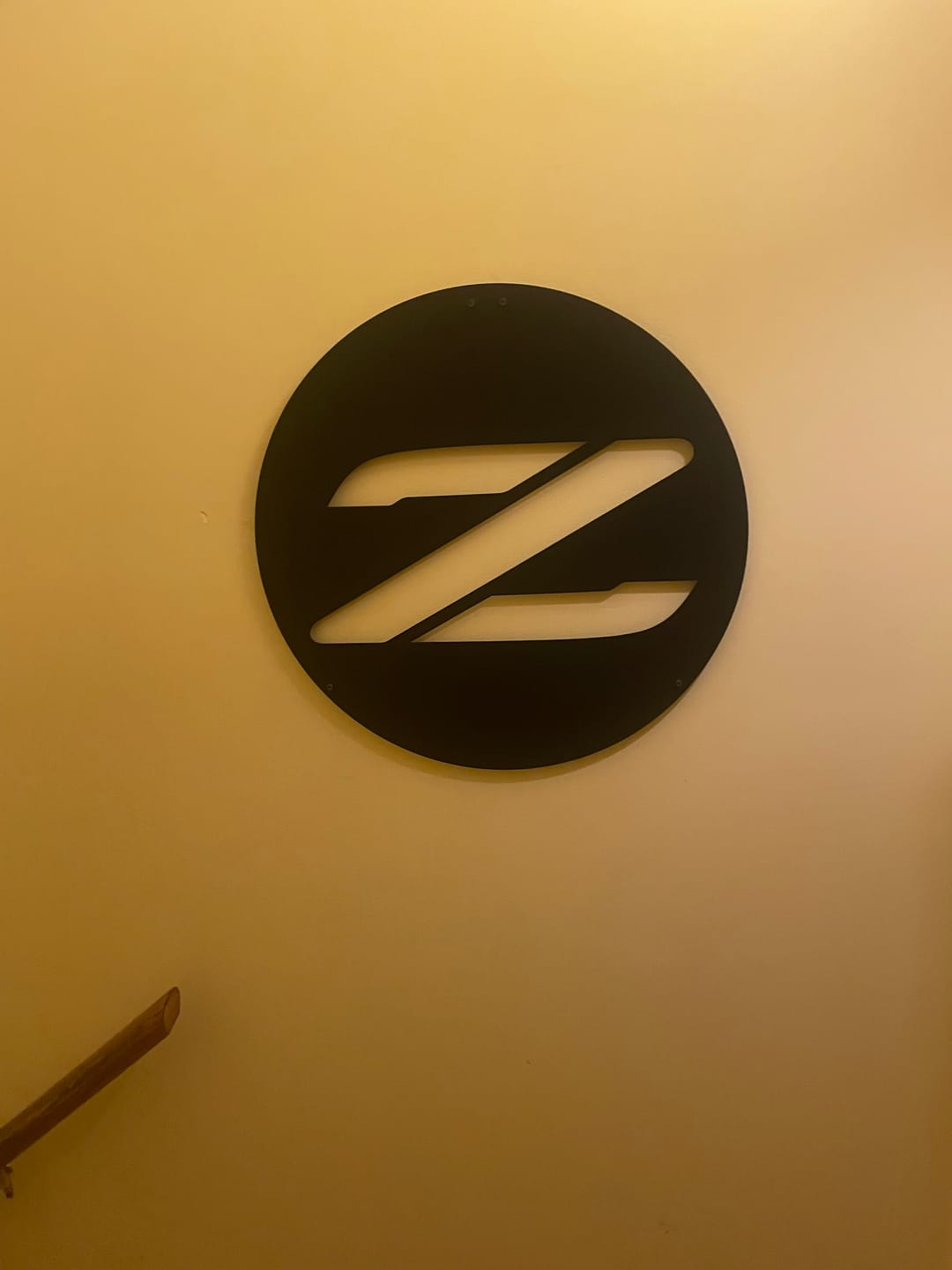 Customer photo review of Special Design Nissan Z Logo
