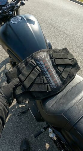 Customer photo review of Rider's Back Support