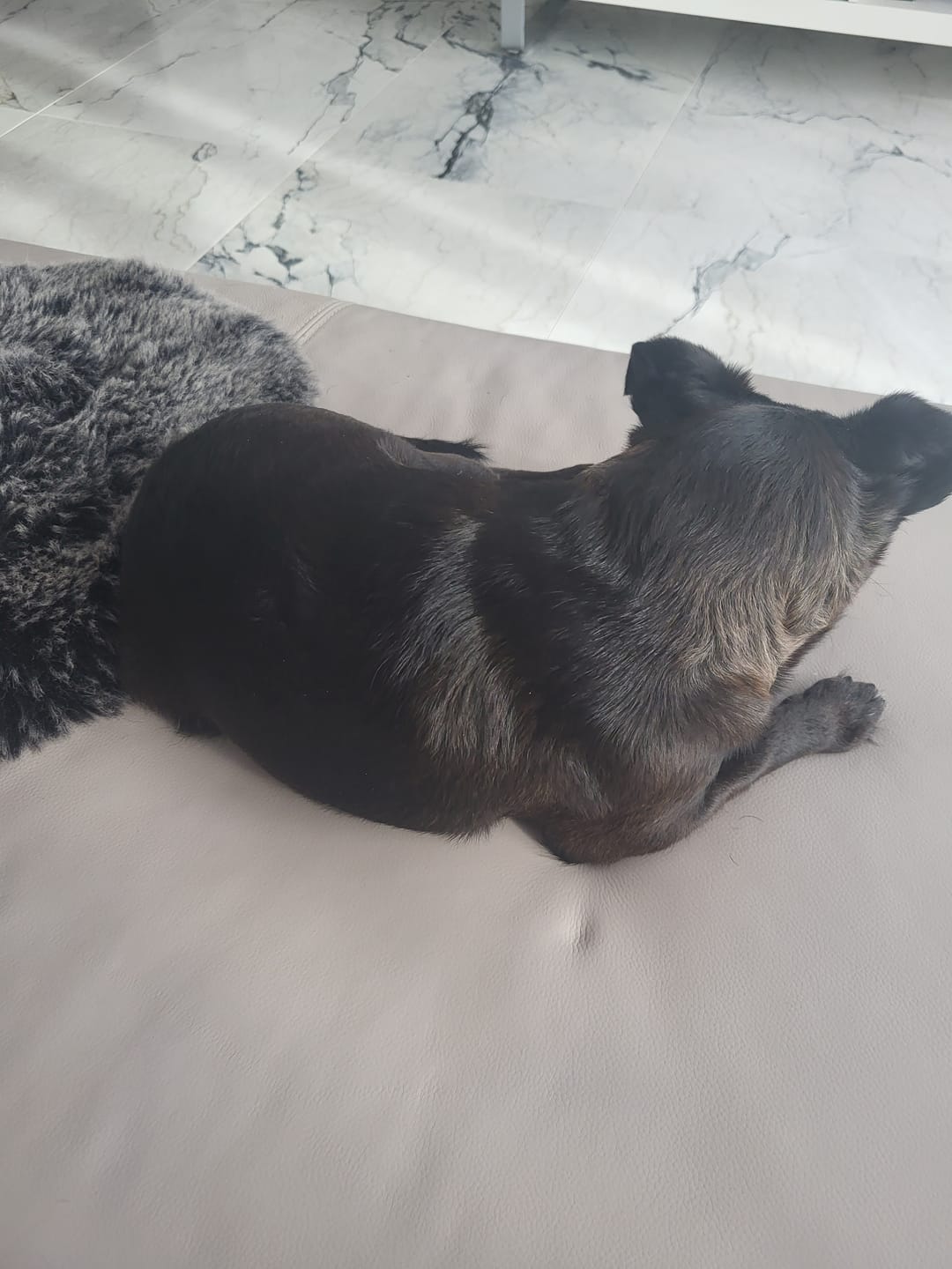 Customer photo review of gutQR Anti-Itch