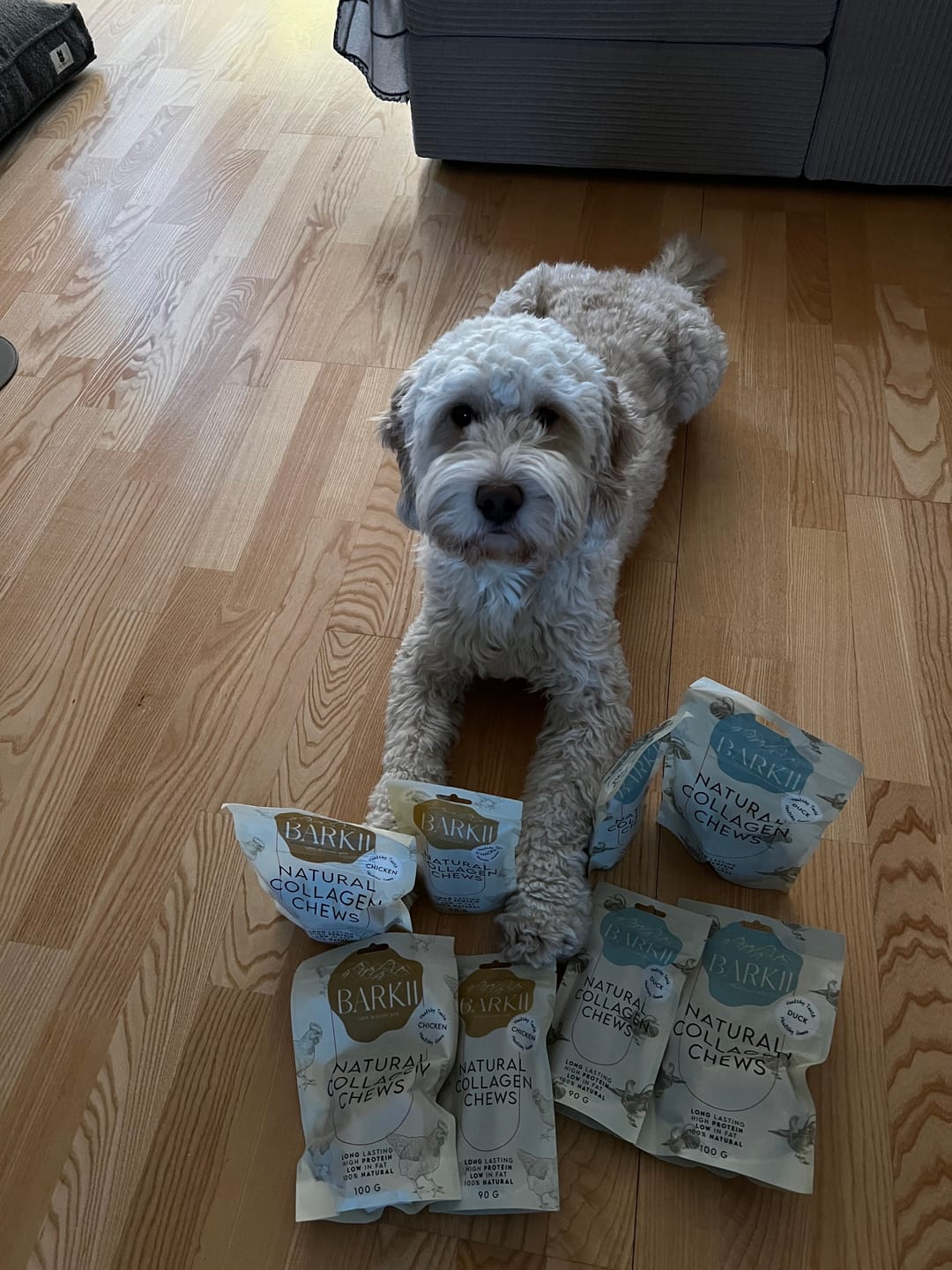 Customer photo review of Barkii - Kollagen Donuts m. Kylling