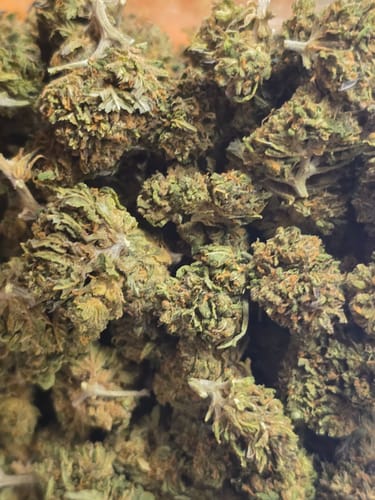 Customer photo review of Cheap THCA Flower Pound