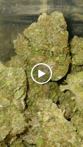 Customer video review of Cheap THCA Smalls Quarter Pound