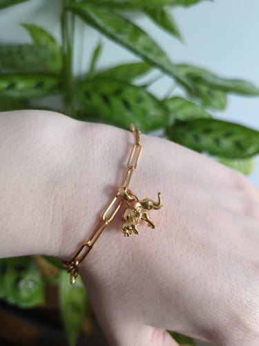 Customer photo review of Elephant Charm