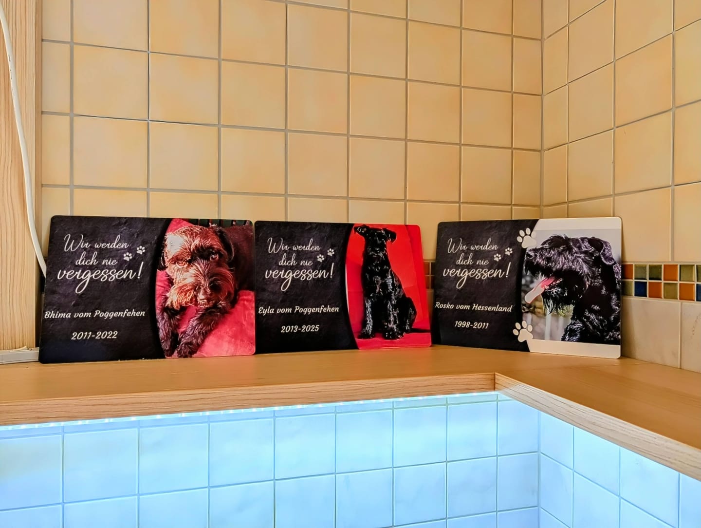 Customer photo review of Hunde Gedenktafel mit Foto & Spruch (UV- & Wetterfest)