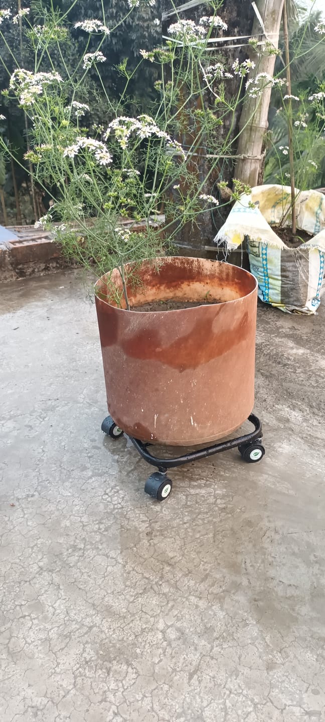 Customer photo review of TryGreen Daze Wheel Rolling Plant Stand for Planters