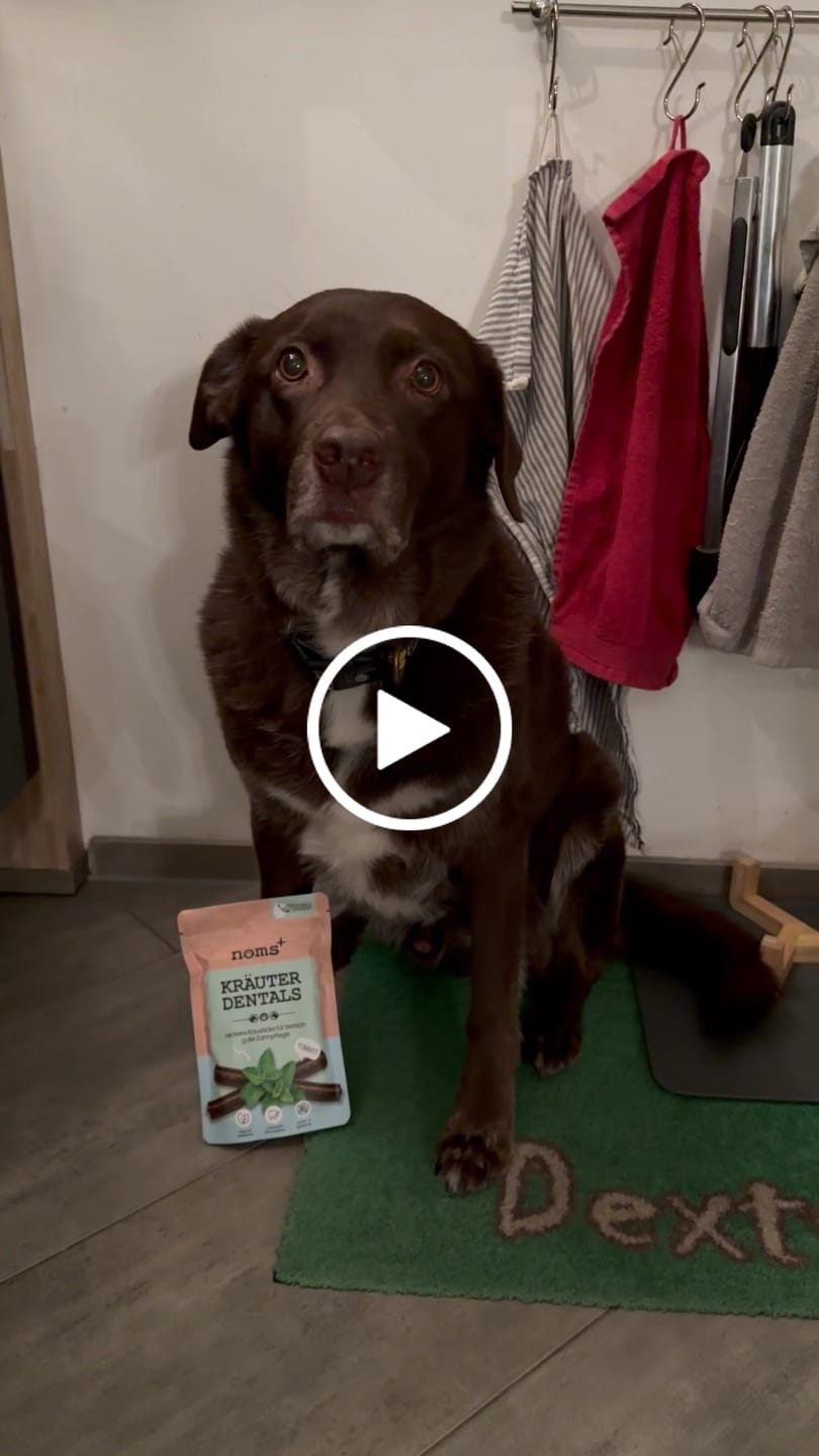 Customer video review of Kräuter Dentals für Hunde zur Zahn- und Darmpflege (150g)