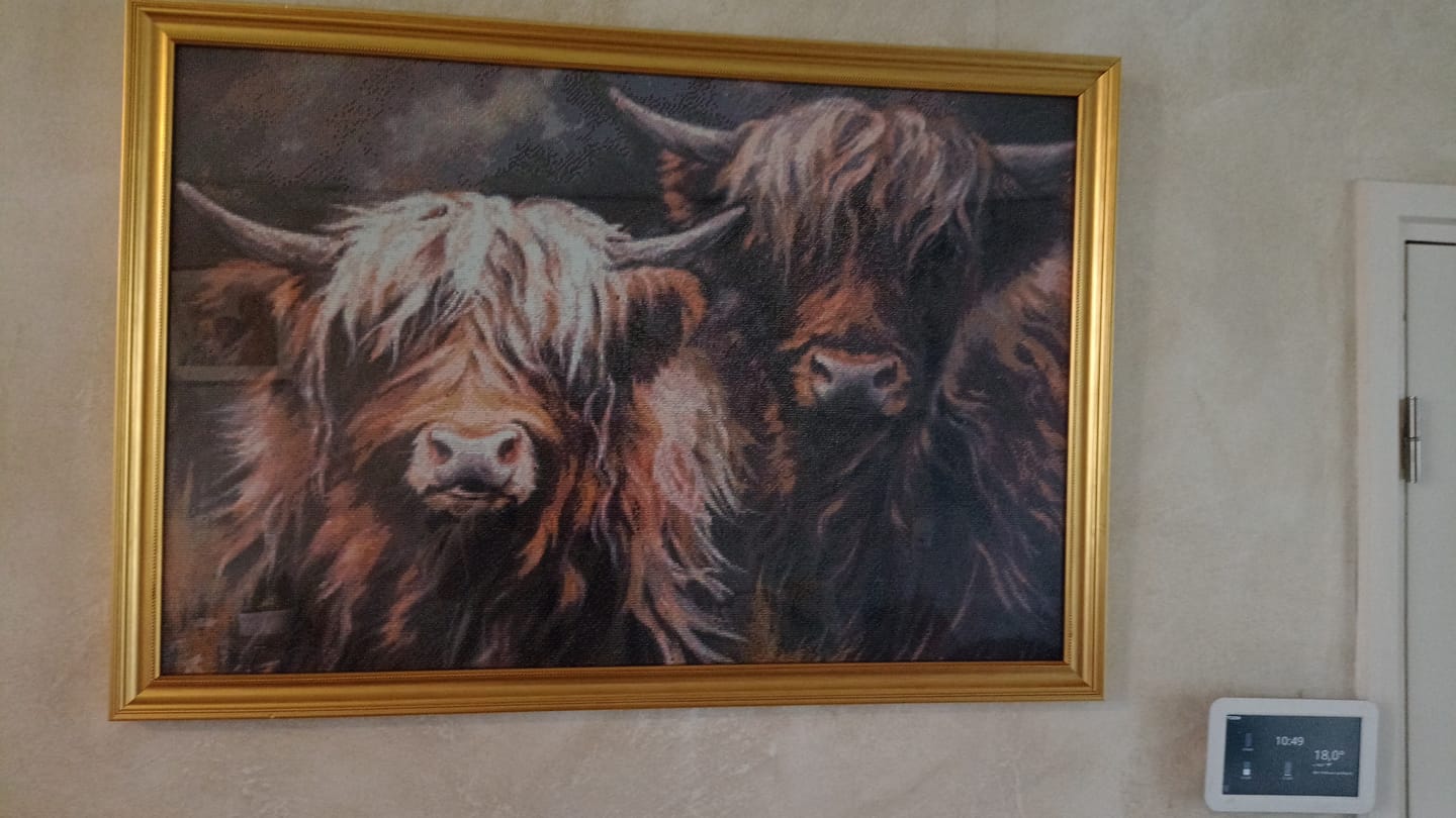 Customer photo review of Diamond painting - Eigen foto