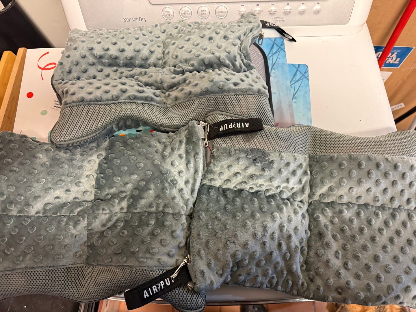 Customer photo review of AIR PUP DOG SHOE LAUNDRY & TRAVEL BAG