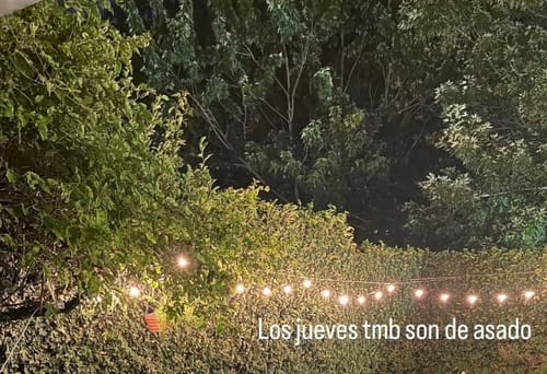 Customer photo review of Guirnalda Guia 25 Luces Exterior Jardin 7.6mts Innolux Negro