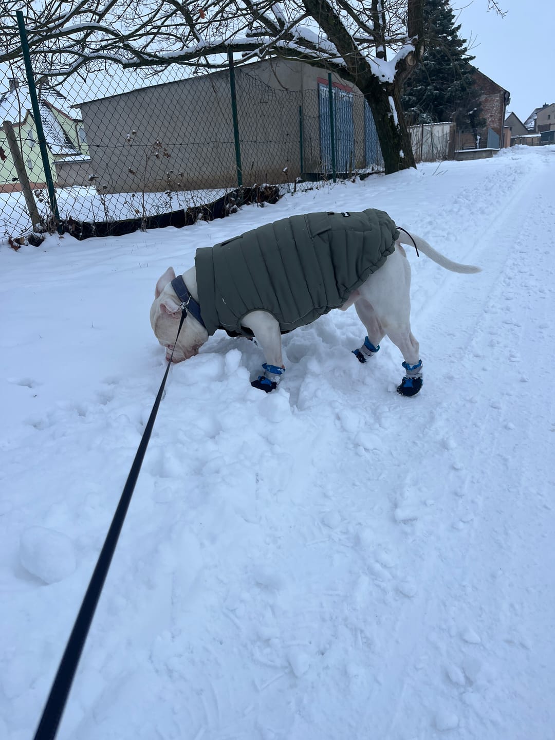 Customer photo review of WarmShield Water-Resistant Jacket - Olive