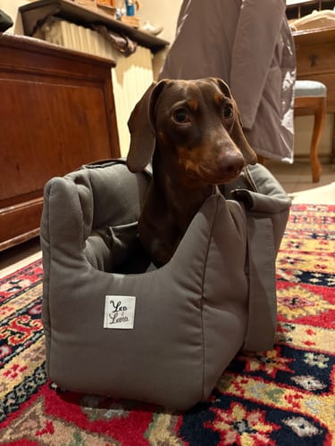 Customer photo review of Borsa Tessuto Dralon Marrone