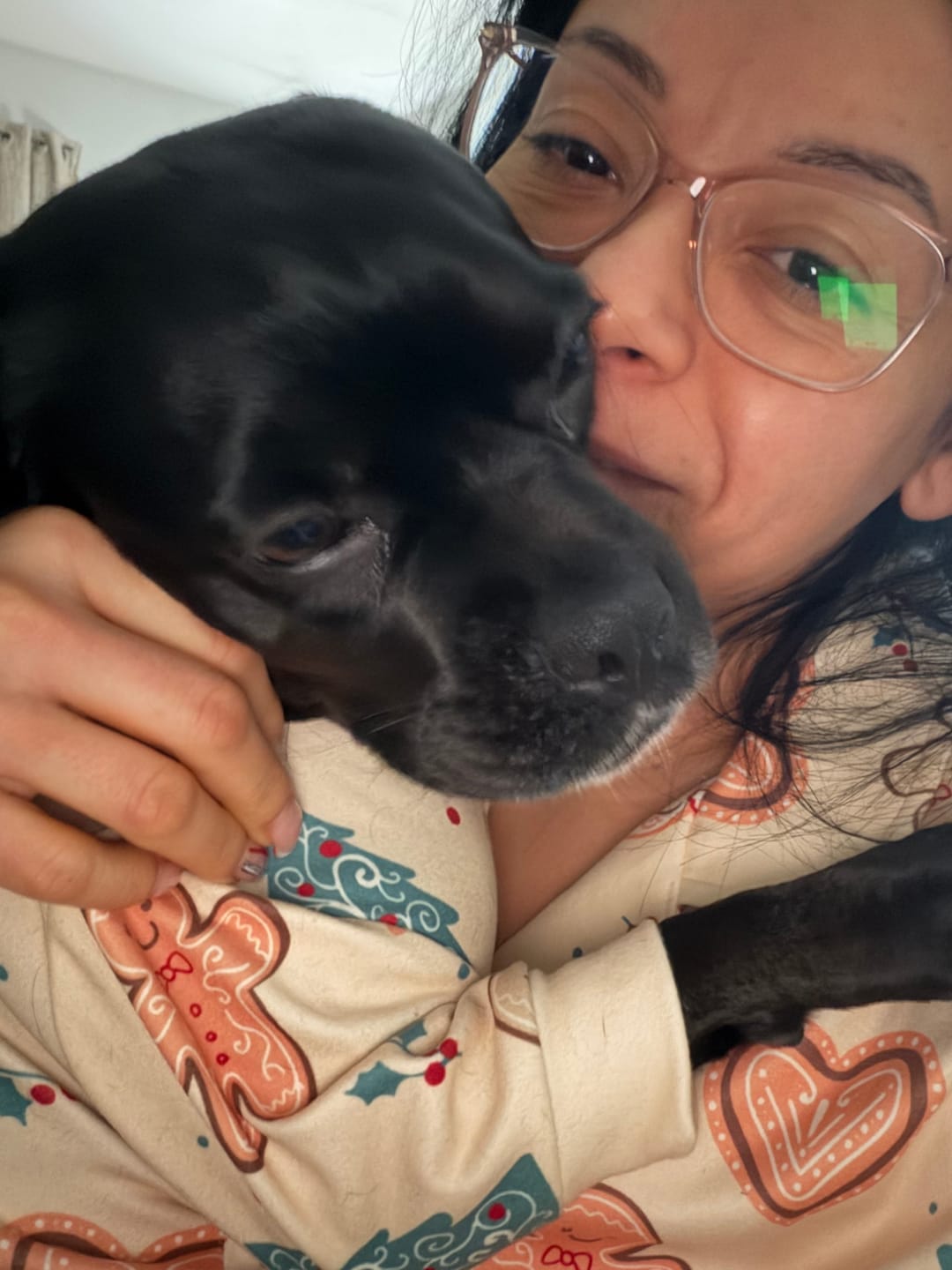 Customer photo review of Dog Christmas Pajama - Frosty Night