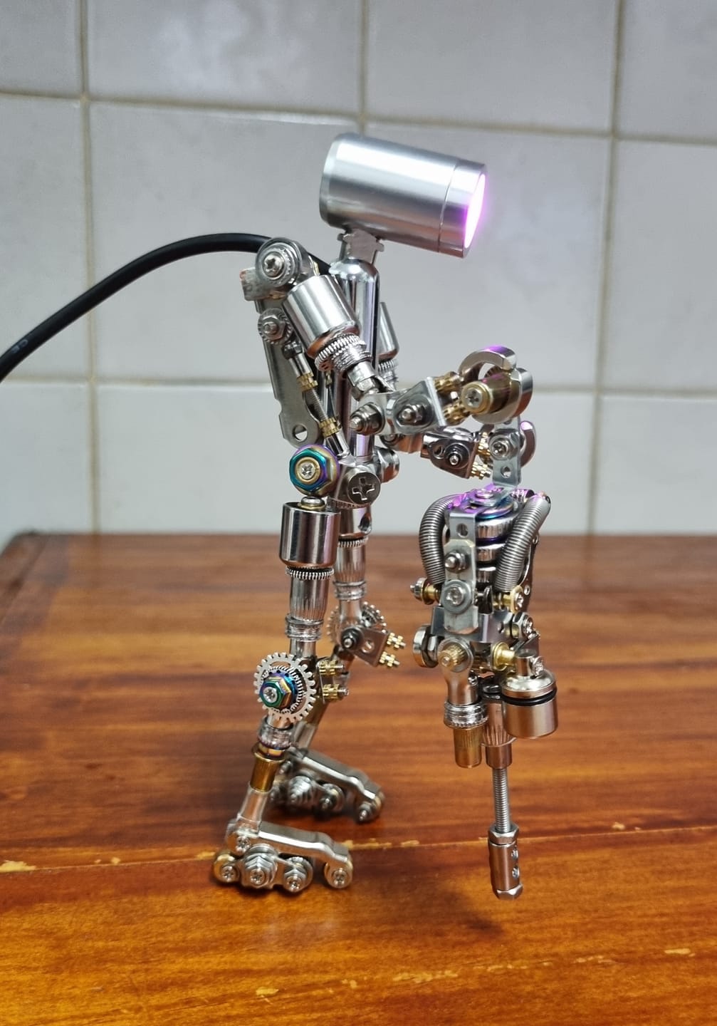 Customer photo review of Terminator M