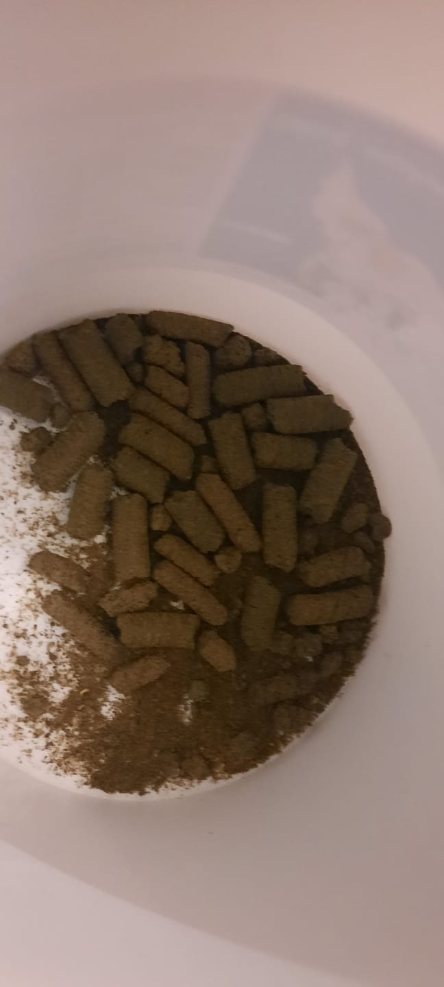 Customer photo review of PFERDESTARK Premium Bio Hanfpellets für Pferde Pferdefutter getreidefrei Mineralfutter 15kg Beutel Hanfpresskuchen