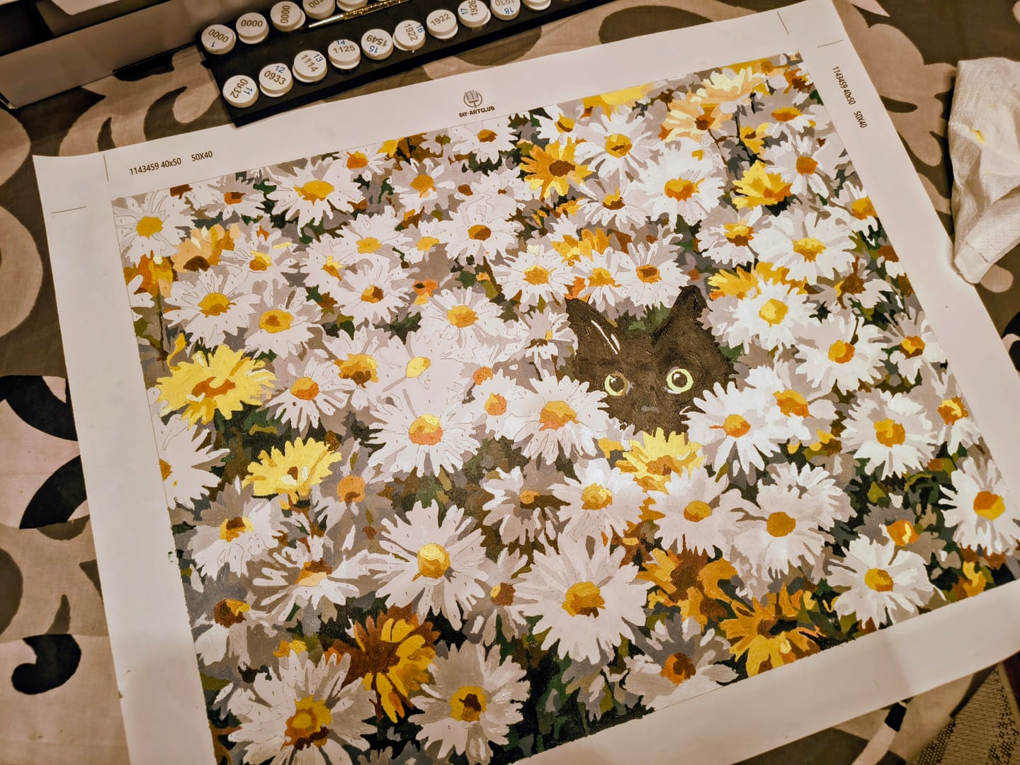 Customer photo review of Cat in the daisy field | Paint by Number