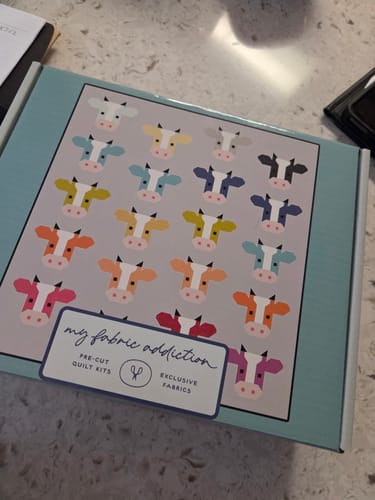 Customer photo review of Annabelle Precut Quilt Kit featuring Riley Blake Essence