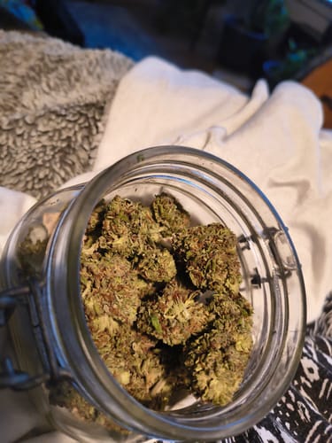 Customer photo review of Cheap THCA Flower Ounce