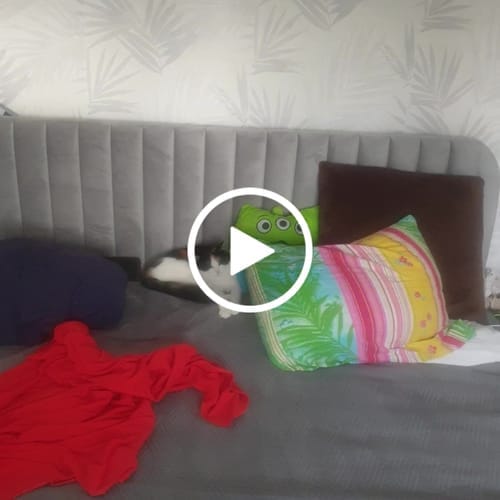 Customer photo review of Lit design avec coffre de rangement - MAELLE