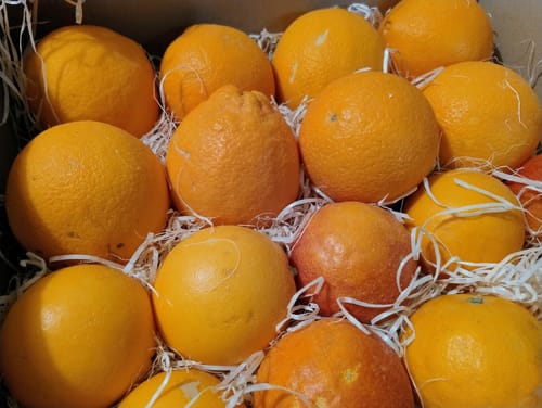 Kundenfoto der Bio Orangen-Mixbox mit vielen frischen Orangen, die zur Polsterung in Papierstroh gebettet sind.