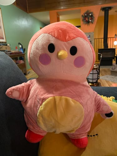 Customer photo review of Pink Plushie: Where Soft Self-Care Begins