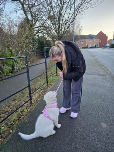 Customer photo review of Disney© Tough Trails™ Harness - Nala