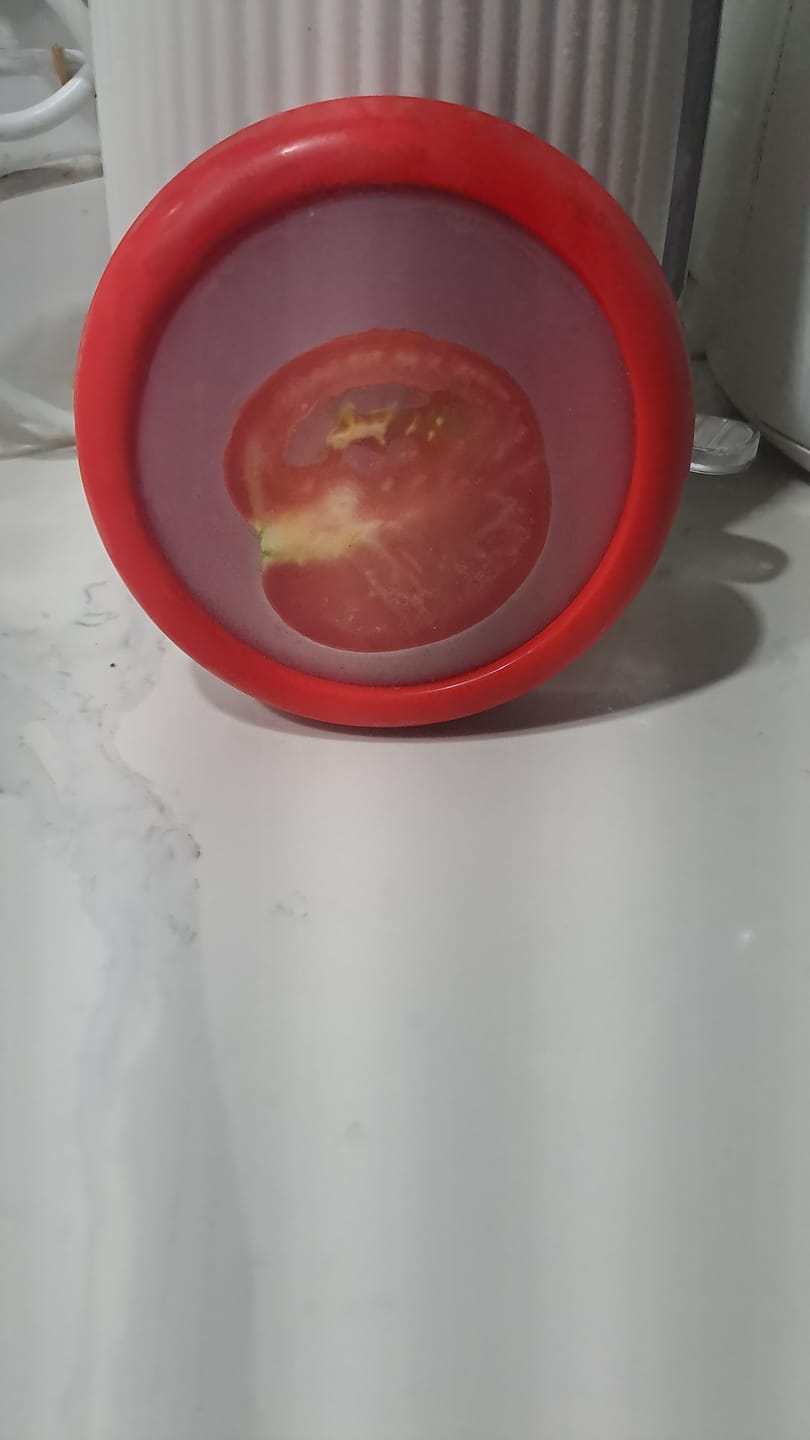 Customer photo review of The FreshPouch™ - (4 Pack)
