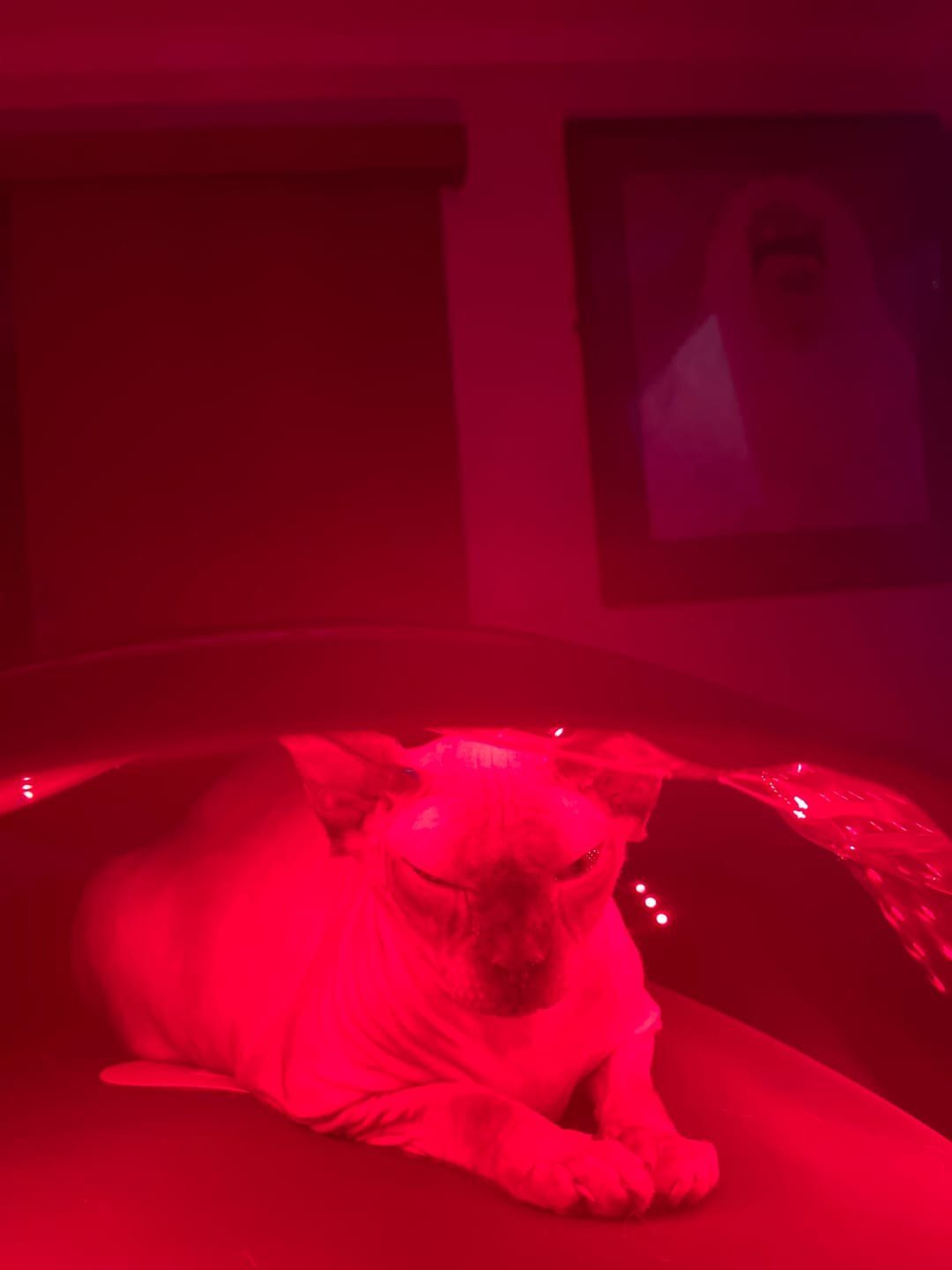 Customer photo review of JOVS 4D Laser Light Therapy Mask
