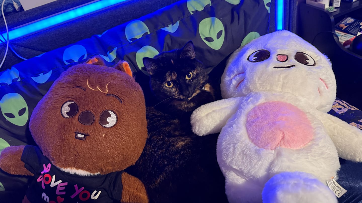 Customer photo review of SKZ Teddybear Plush