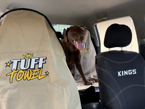 Customer's beige Waterproof Car Towel Seat Cover in use on a car seat with a happy dog sitting in the back.