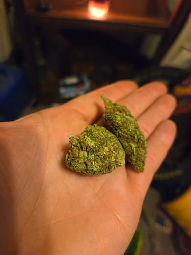 Customer photo review of Jager Sour Diesel - 28 Grams - Hybrid