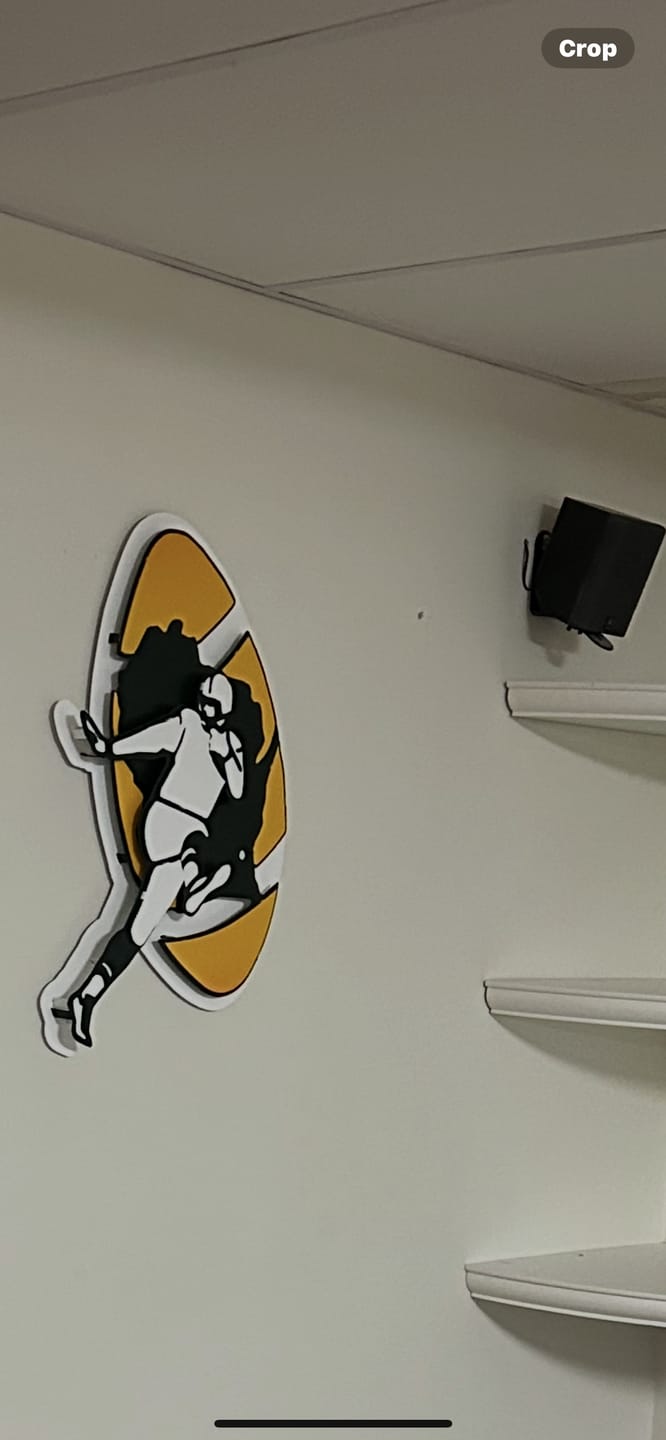 Customer photo review of Green Bay Packers 1968-79 Throwback 3D Vintage Metal Wall Art