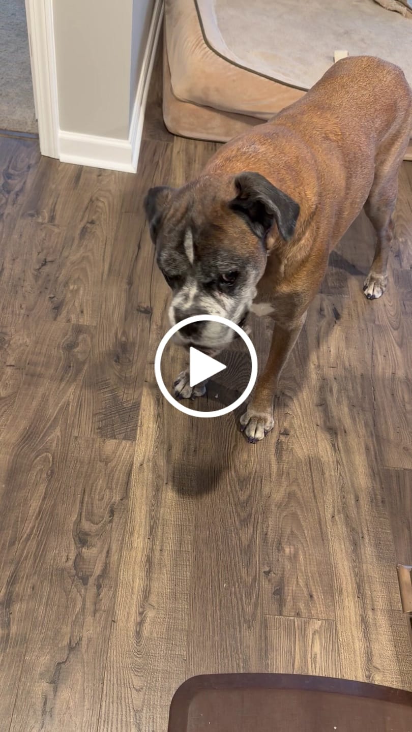 Customer video review of Tucker's Gold 1000MG