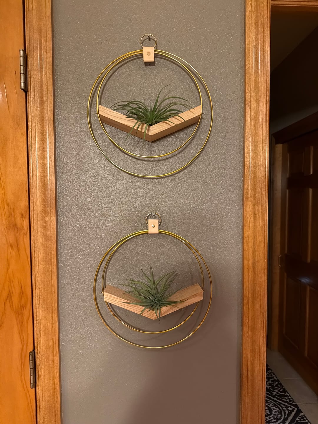 Customer photo review of Air Plant V-Hanger Trio