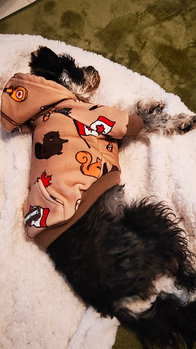 Customer photo review of Canada Dog Hoodie