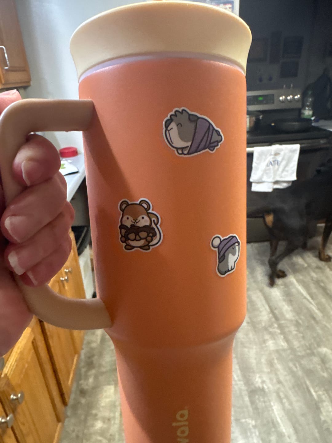 Customer photo review of Cute Squirrels Planner Stickers
