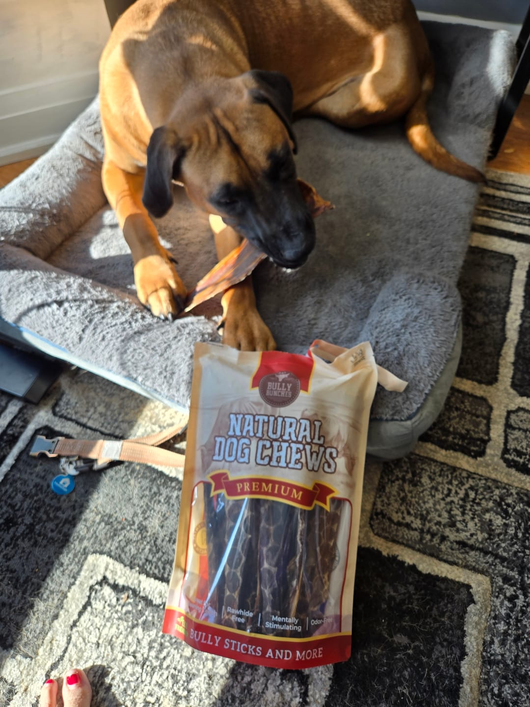 Customer photo review of 12 Inch Beef Jerky Strip