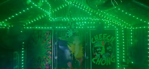 Reviewer's Watercolor Marijuana Leaf Pattern Print House Flag used as decoration in a room with green lights and posters.
