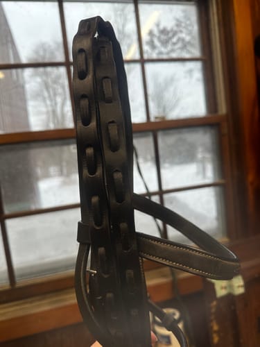 Customer photo review of ProSeries Perfect Reins