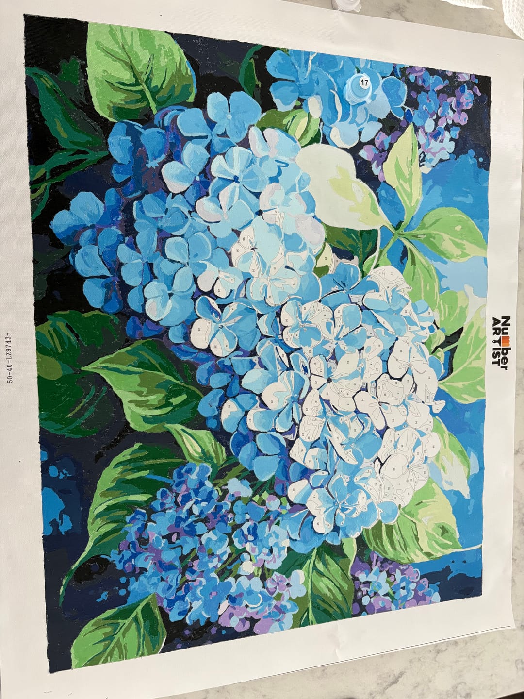 Customer photo review of Blue Hydrangea