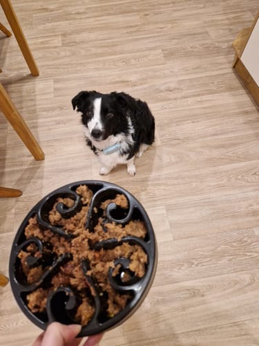 Customer photo review of Frischfutter für Energiebedarf von 576 kCal/Tag