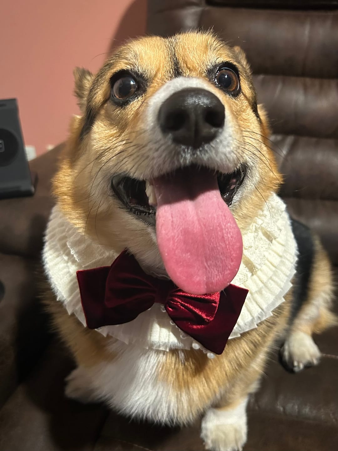 Customer photo review of Pre-order  Barbara – Sweet Valentine Elegance Lace Collar with Bow Options
