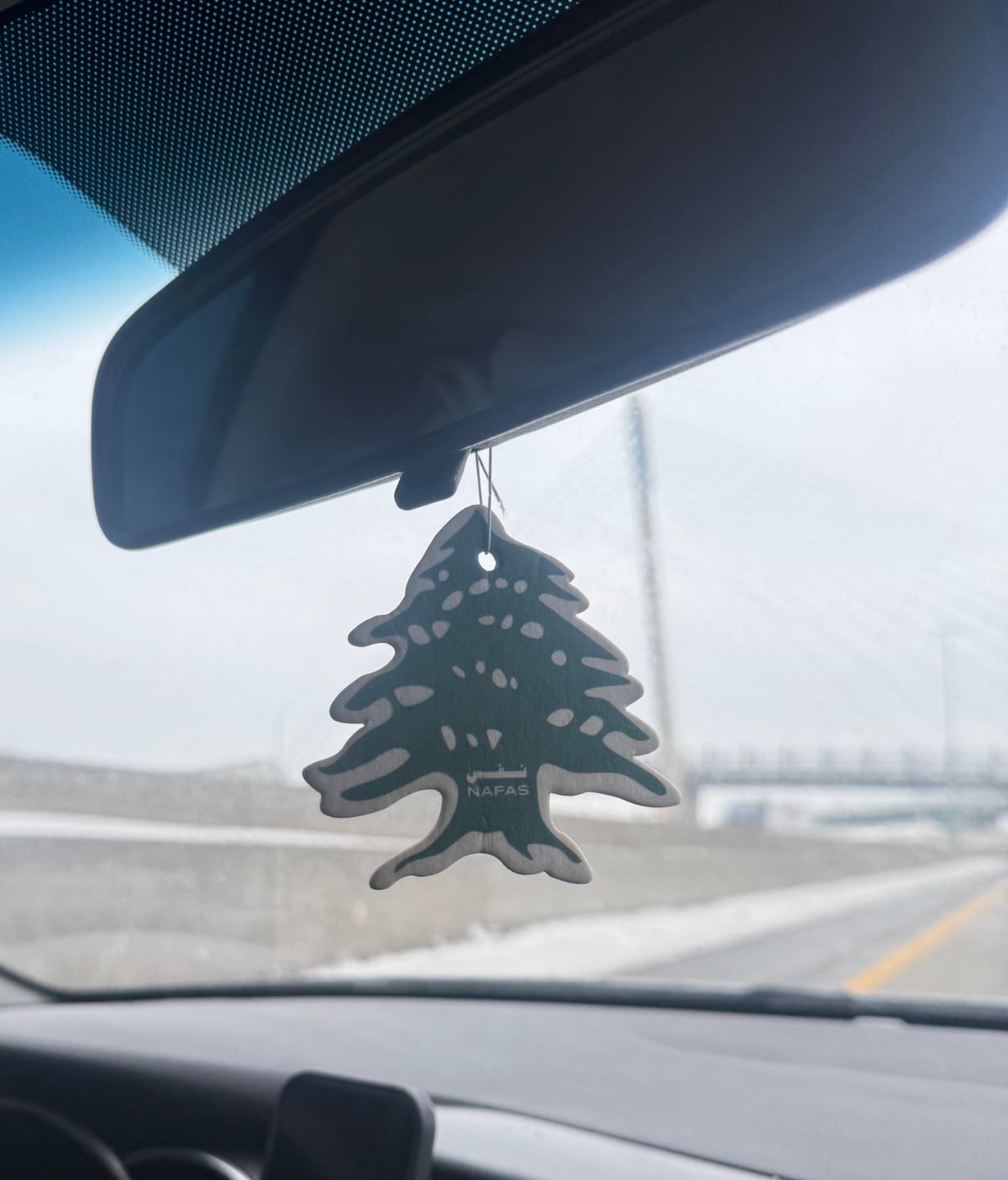Customer photo review of Lebanese Cedar Air Freshener