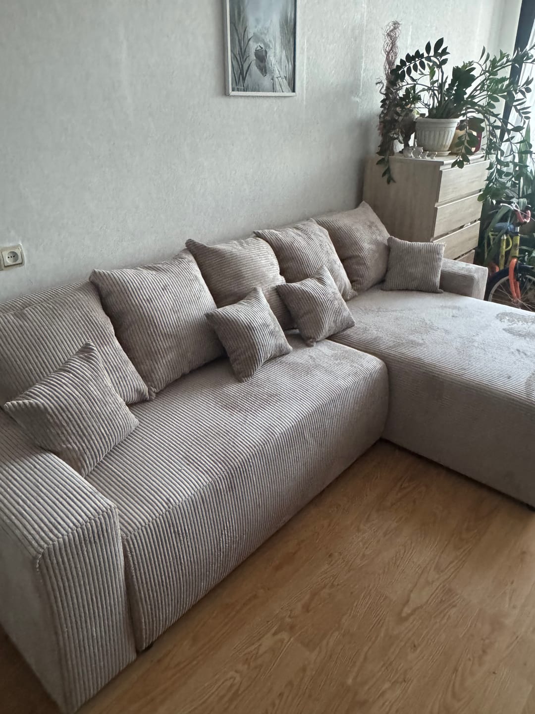 Customer photo review of Kampas “Plush” Cappuccino