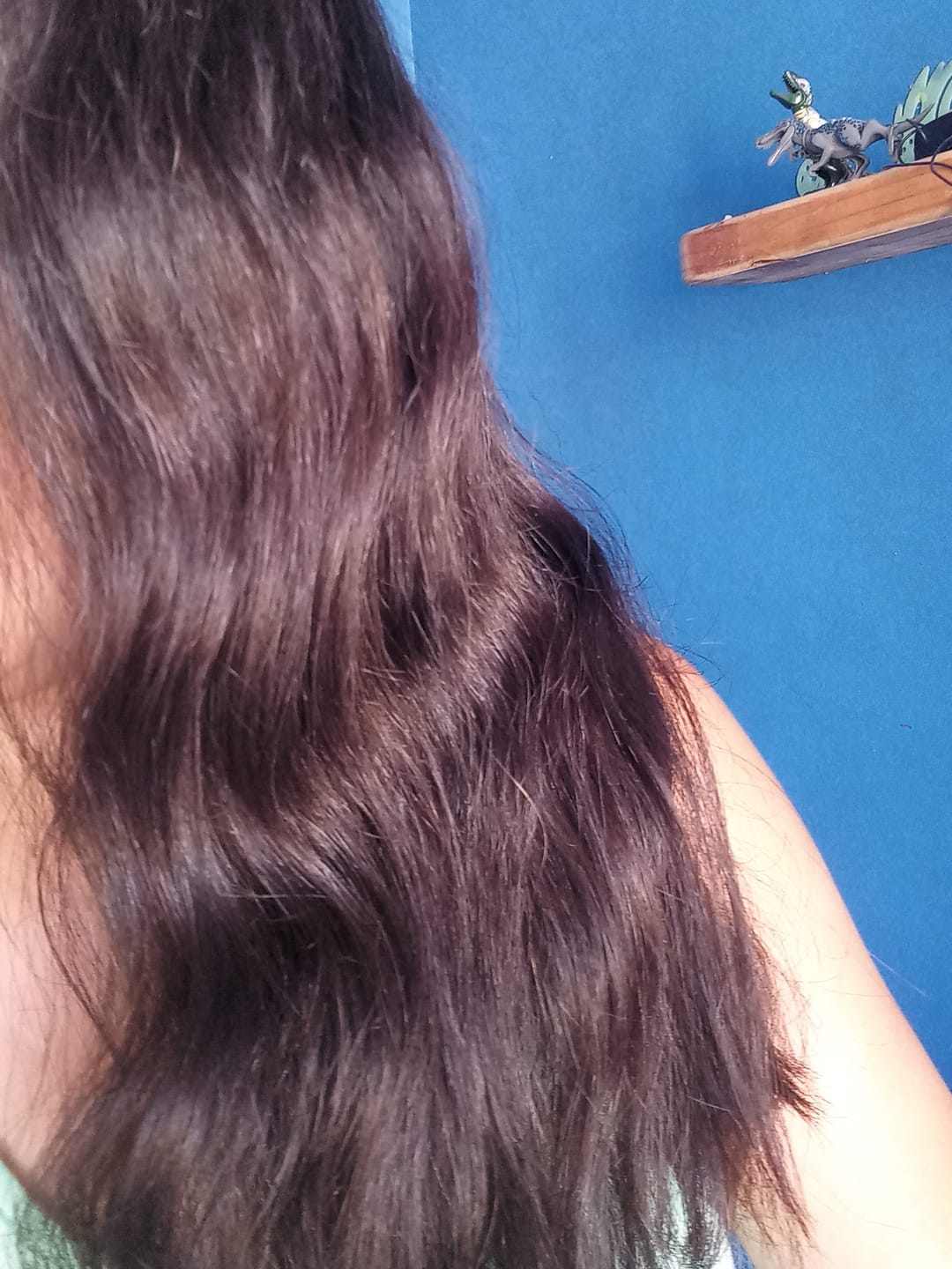 Customer photo review of Shampoo Antifrizz 300 ml