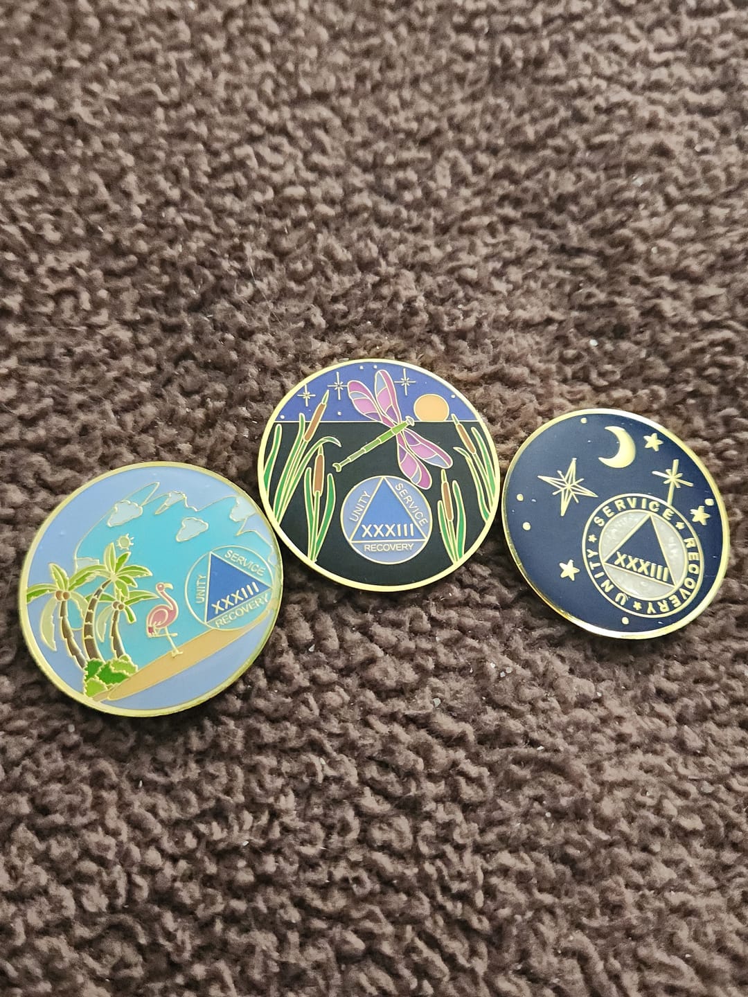 Customer photo review of 1 to 60 Year Dragonfly 9th Step Specialty AA Recovery Medallion - Tri-Plated Chip/Coin