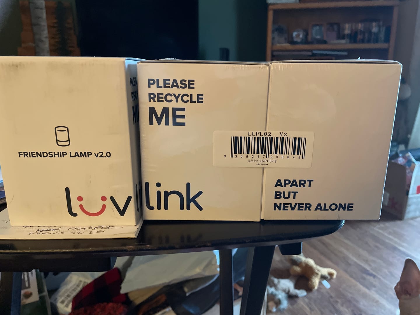 Customer photo review of Friendship Lamp
