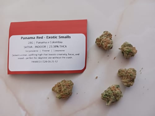 Customer photo review of Panama Red - Exotic Smalls