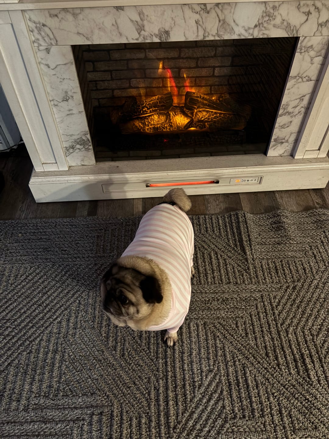Customer photo review of Dog Pajama - Pink Stripes